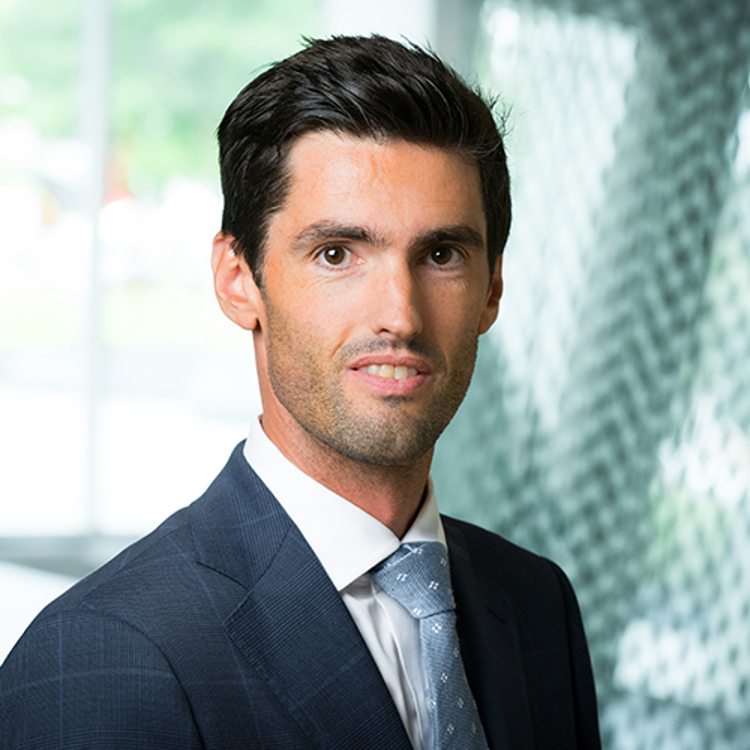 This is an image of Luc Joosten.